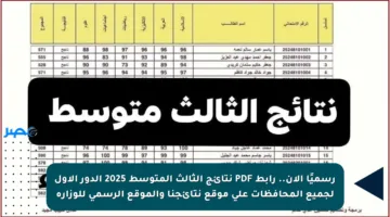 رسميًا الآن.. رابط PDF نتائج الثالث المتوسط 2025 الدور الأول لجميع المحافظات على موقع نتائجنا والموقع الرسمي للوزارة